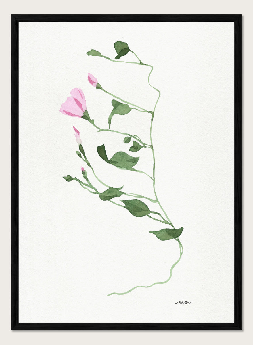 Shop Graceful Pink Stem by NKTN, a botanical wall art print poster featuring a delicate climbing vine, soft pink flowers, and minimalist watercolor style.