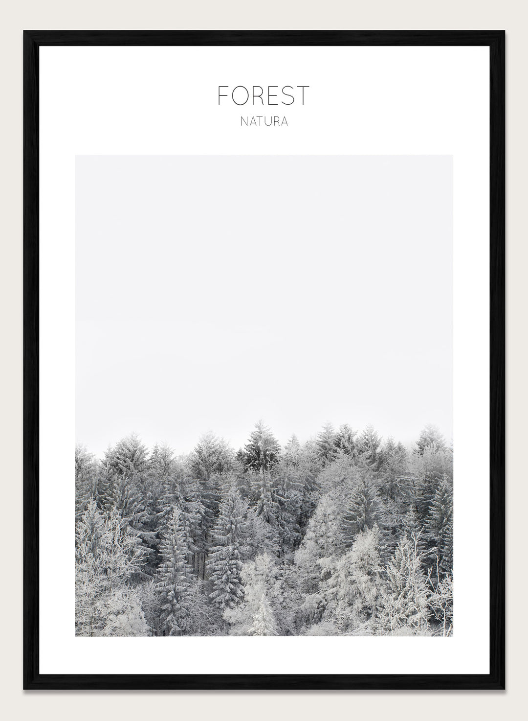 Black and white forest landscape with 'FOREST' and 'Natura' text at the top. Frosted Tranquility by The MIUUS Studio is a black and white forest photography art print and wall poster featuring snowy trees, minimalist composition, and modern neutral design.
