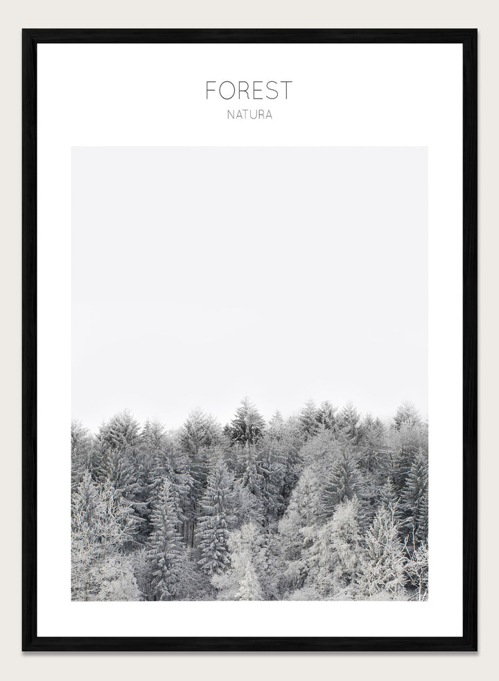 Black and white forest landscape with 'FOREST' and 'Natura' text at the top. Frosted Tranquility by The MIUUS Studio is a black and white forest photography art print and wall poster featuring snowy trees, minimalist composition, and modern neutral design.