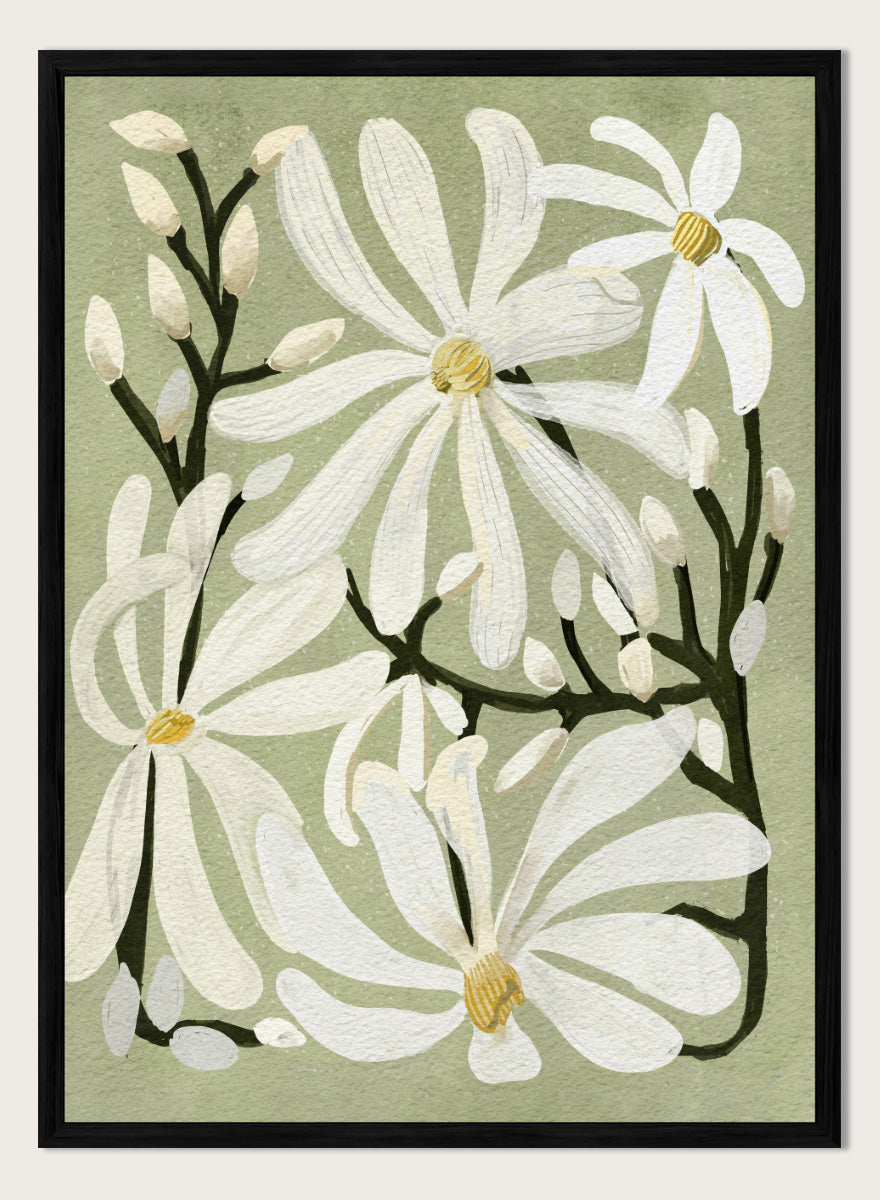 A botanical art print featuring white magnolia flowers with yellow centers and dark green stems on a muted sage green background. Shop Star Magnolia Floral Art Print by Katie O&