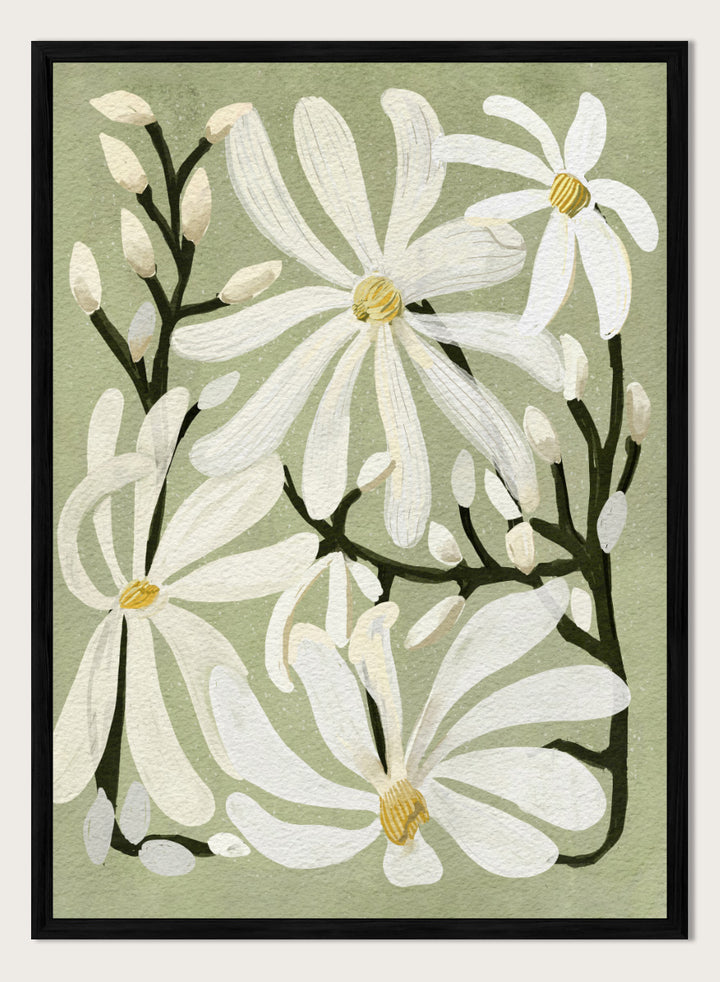 A botanical art print featuring white magnolia flowers with yellow centers and dark green stems on a muted sage green background. Shop Star Magnolia Floral Art Print by Katie O&