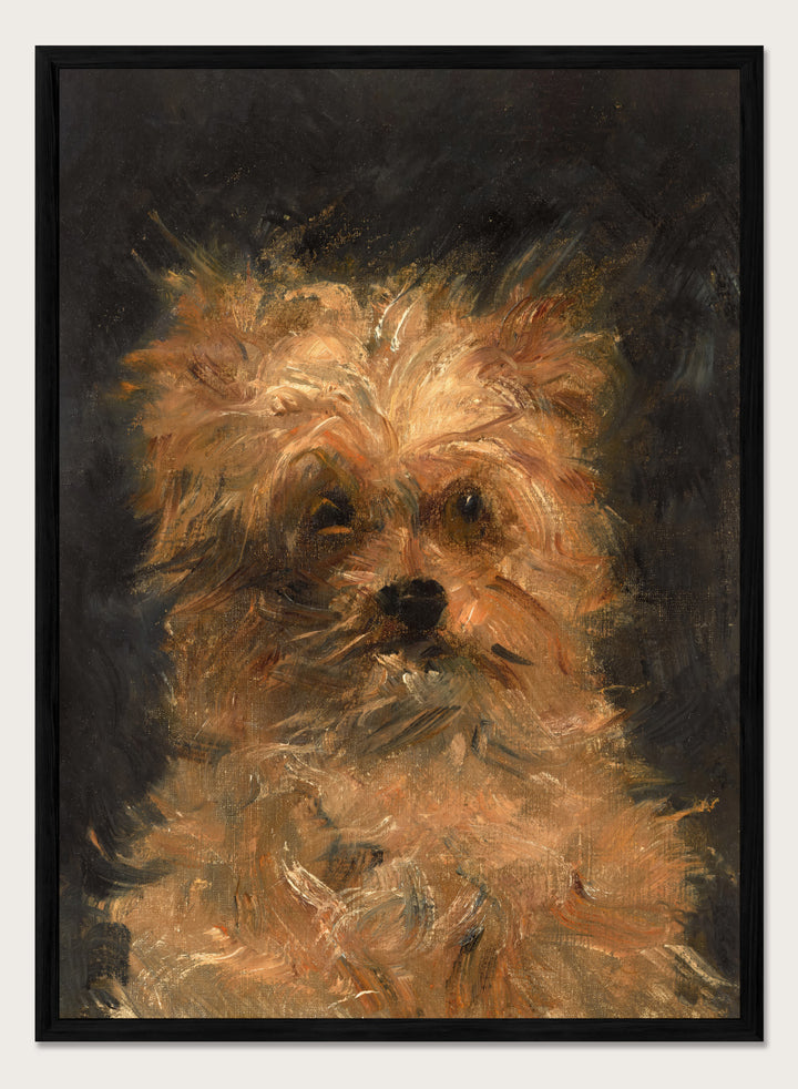 A painted portrait of a small fluffy dog, likely a terrier mix, rendered in warm tan, cream, and brown brushstrokes against a dark charcoal background. Head of the Dog "Bob" by Édouard Manet is a vintage dog portrait print featuring a scruffy terrier&