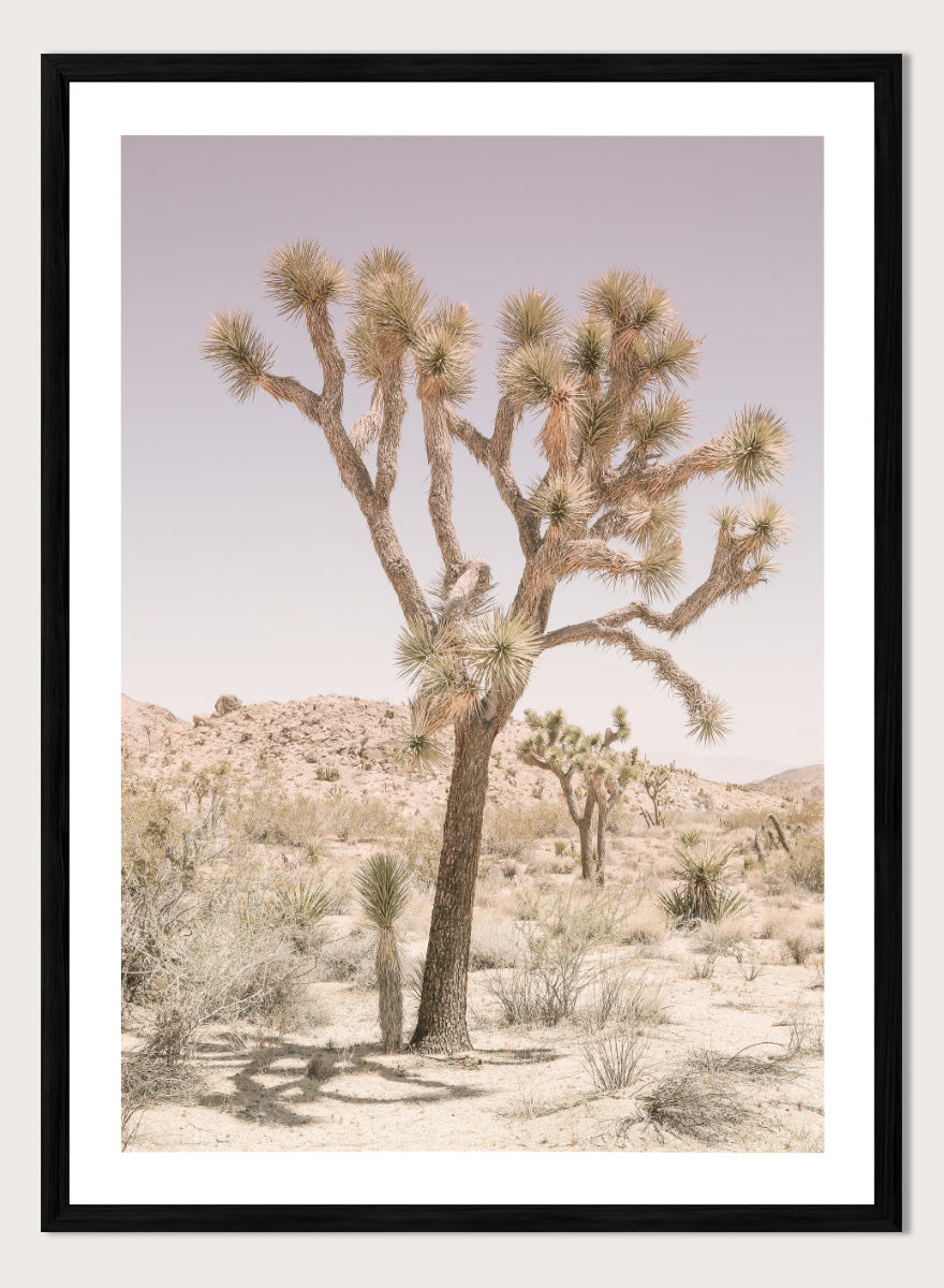 A framed art print depicting a desert landscape with a prominent Joshua tree in the foreground, set against a pale lavender sky and sandy hills. Desert Serenity by Shot by Clint features a Joshua tree desert landscape in soft earthy tones with a pale sky and calm, sun-washed atmosphere.