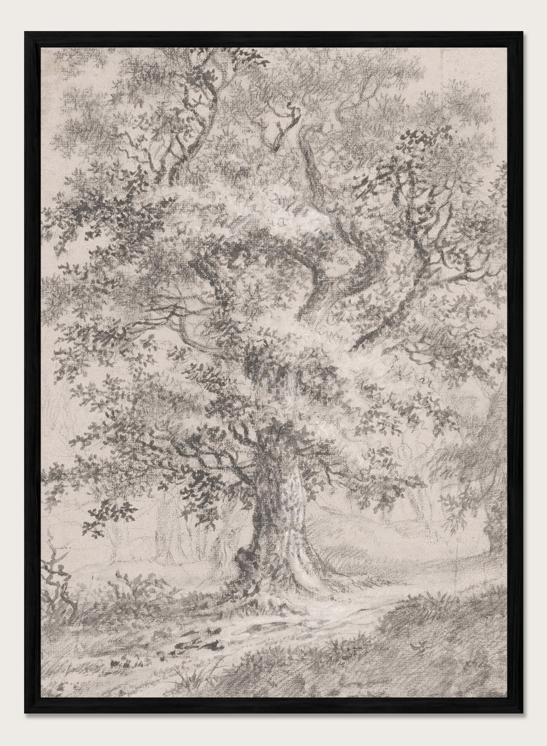 "A Leafy Oak by a Woodland Path" Art Print