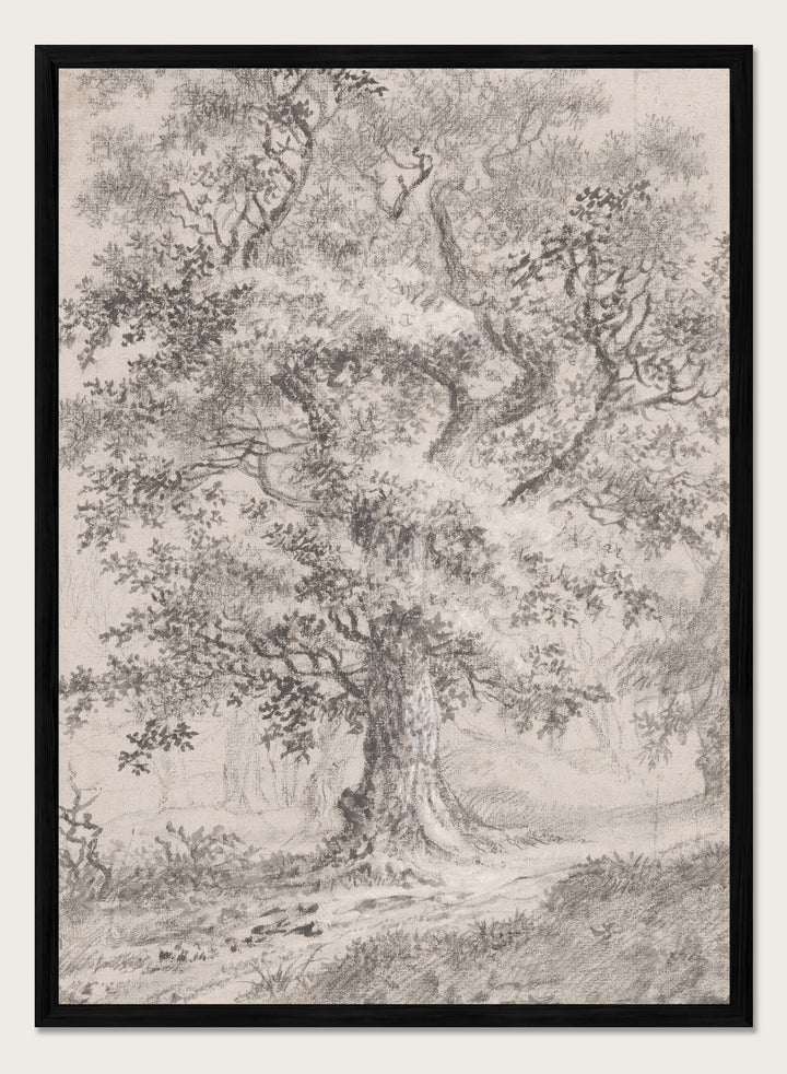 "A Leafy Oak by a Woodland Path" Art Print