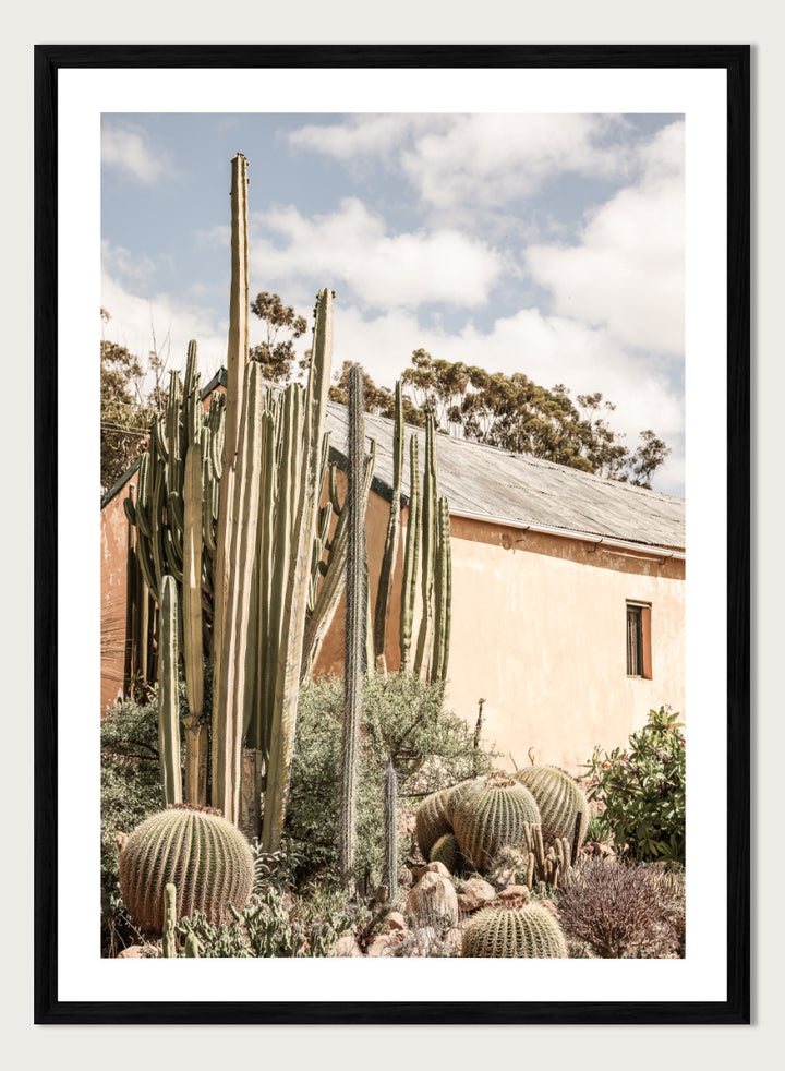 Shot by Clint - Desert Retreat Art Print