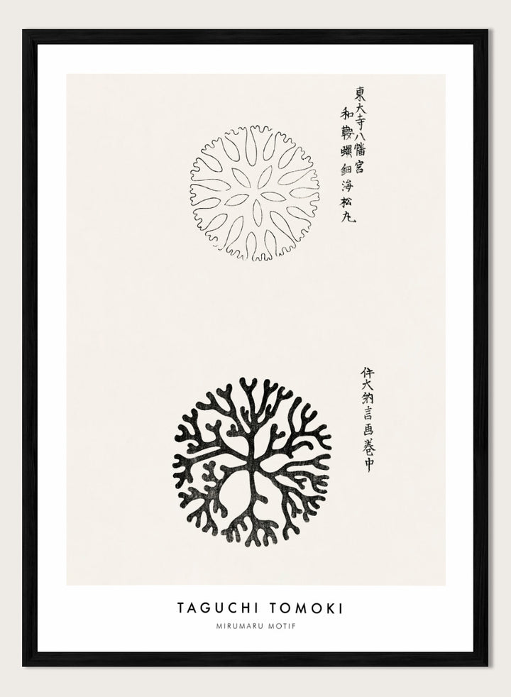 Mirumaru Yatsuo no Tsubaki by Taguchi Tomoki is a vintage Japanese woodblock art print featuring the traditional Mirumaru seaweed motif and original Japanese script.