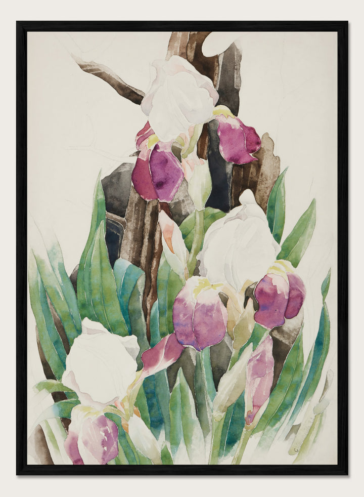 "Iris" Art Print