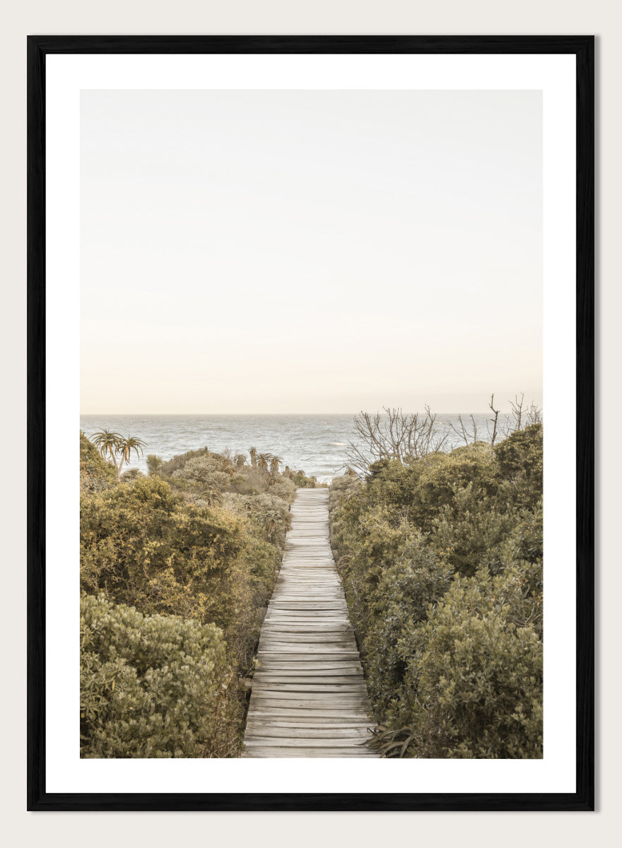 A framed photographic art print depicting a wooden boardwalk leading from dense green beach vegetation to the ocean under a pale sky. Pathway to Tranquility by Shot by Clint coastal art print featuring a wooden boardwalk, wild greenery, distant palms, and a soft ocean horizon.