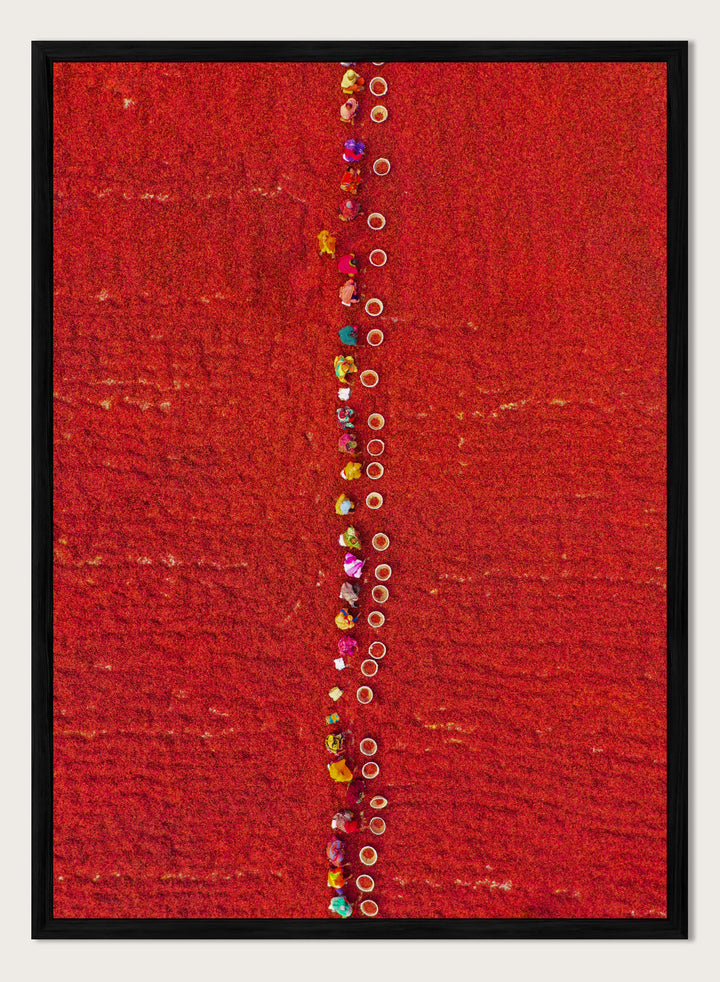 Pickers Sorting Chillies by Azim Khan Ronnie aerial photography print showing workers in red chilli fields Bangladesh, cultural documentary wall art poster