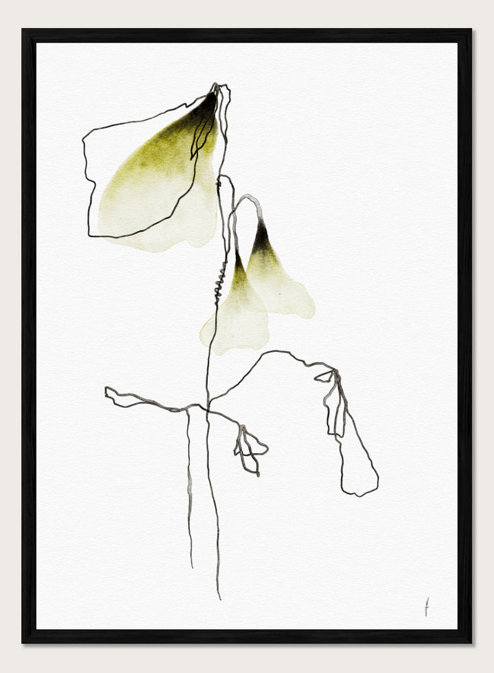 Shop Delicate Olive Blooms by Ankie Kooi, a botanical wall art print poster with abstract floral line art, watercolor flowers, green, cream, and black.