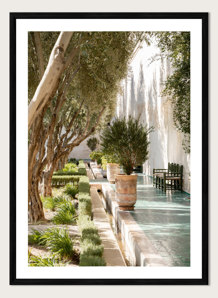 Garden pathway with trees, plants, and a building in the background. Mediterranean Garden Courtyard by Henrike Schenk is a travel photography print featuring olive trees, terracotta pots, tiled walkways, and a Moroccan garden.