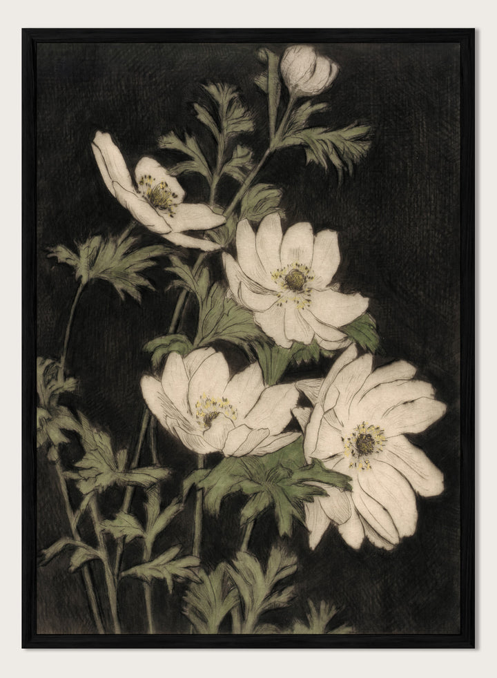 "Anemones" Art Print