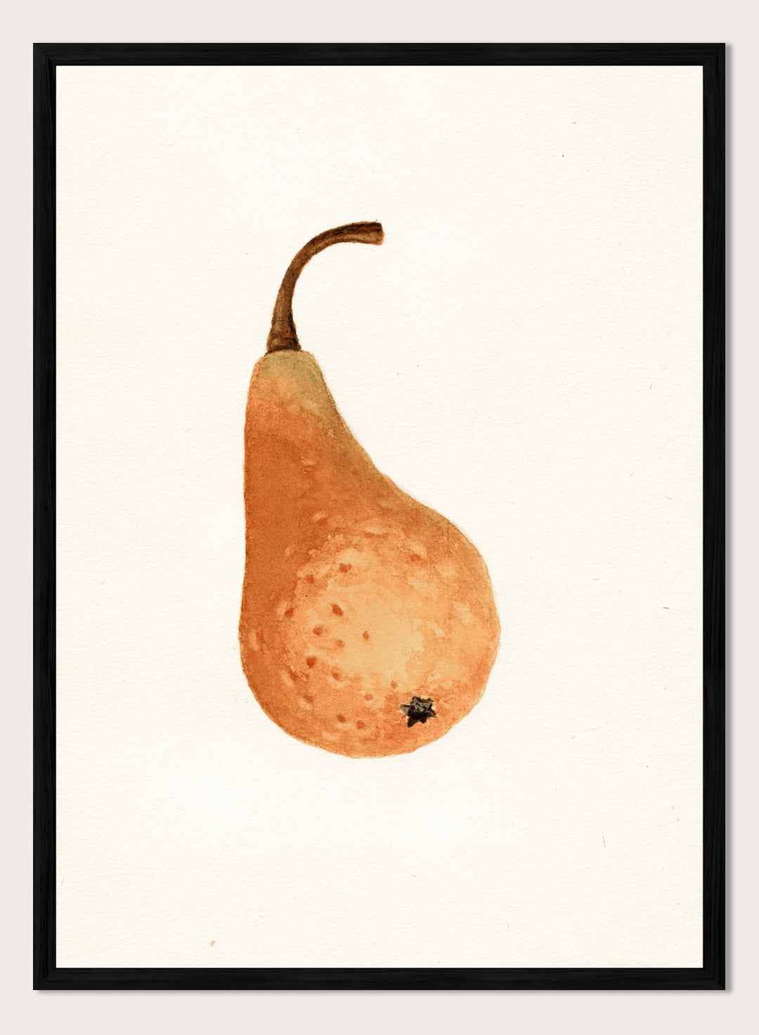 "Bosc Pear" Art Print