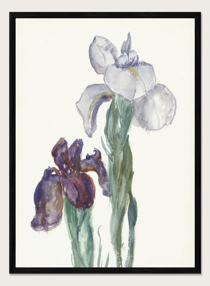 Irises by Sientje Mesdag-van Houten is a vintage botanical watercolor print of purple and white iris flowers, a soft floral piece for wall art and home decor.