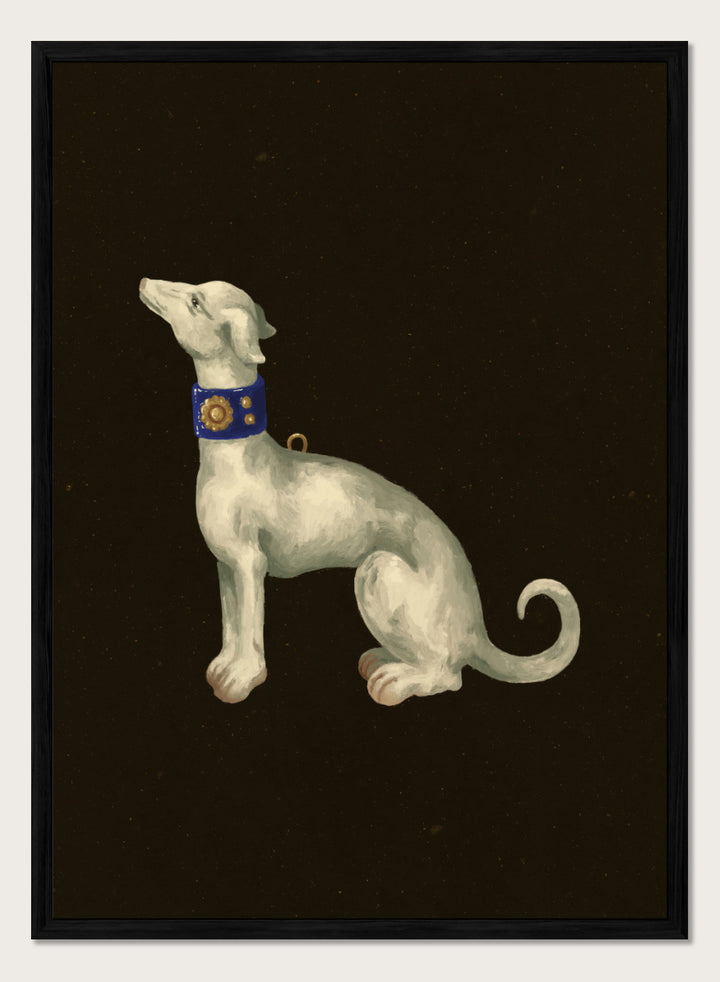 Shop Elegant White Greyhound by NKTN, a dog wall art print poster featuring a graceful white greyhound with a blue and gold collar on a dark background.