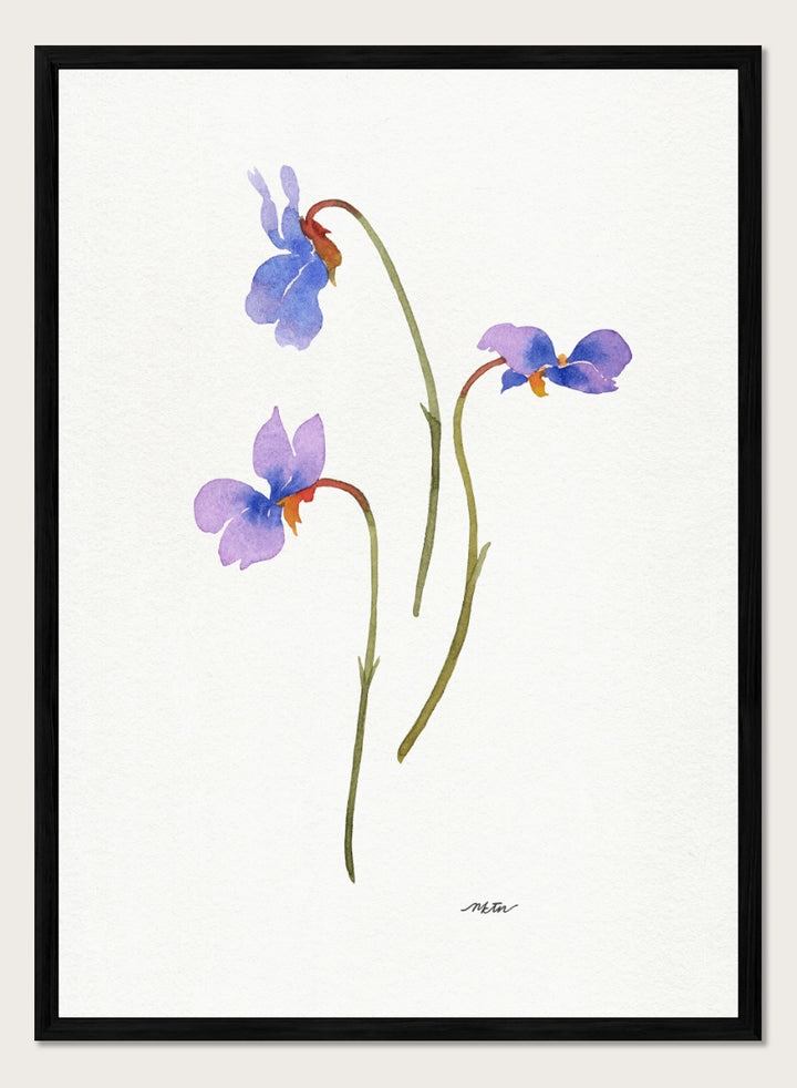 NKTN - Delicate Purple Violets Art Print