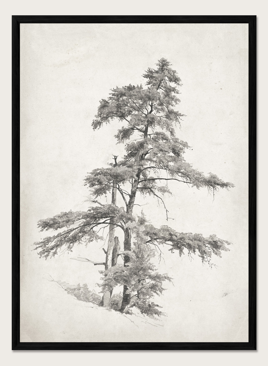 "Trees, West Virginia" Sketch Art Print