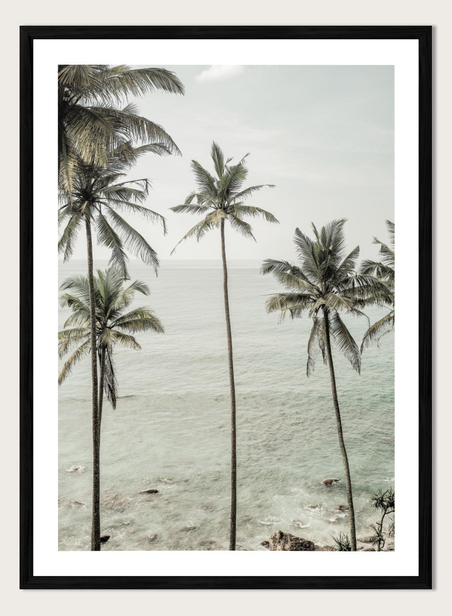 A framed photographic print of tropical coconut palm trees along a calm sea coastline. Tropical Dreams by Shot by Clint coastal photography print featuring tall palm trees, soft ocean waves, and muted tropical tones.