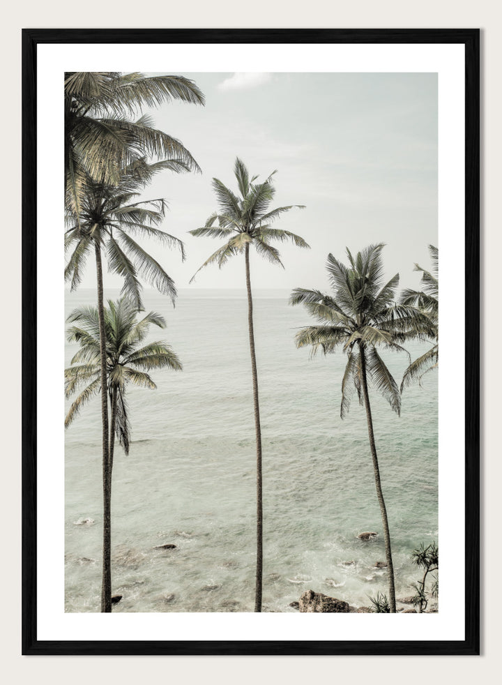 A framed photographic print of tropical coconut palm trees along a calm sea coastline. Tropical Dreams by Shot by Clint coastal photography print featuring tall palm trees, soft ocean waves, and muted tropical tones.