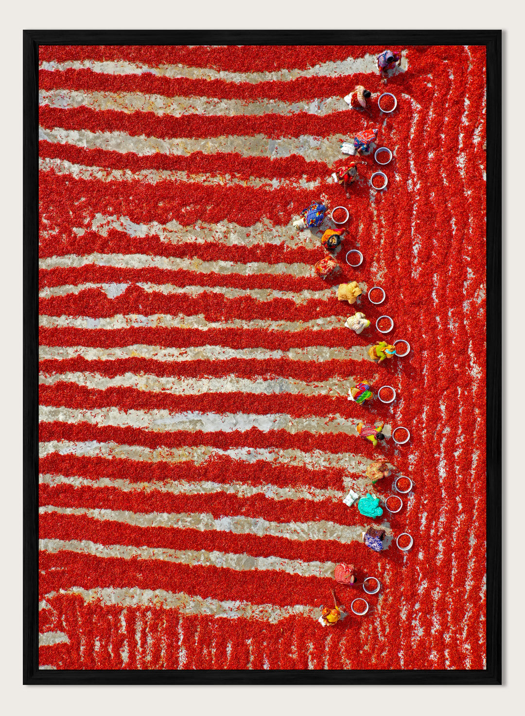 Drying Red Chilies by Azim Khan Ronnie aerial photography print showing chilli fields in Bangladesh with workers, cultural documentary wall art poster