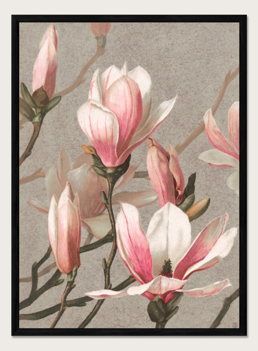 "Magnolia" Art Print