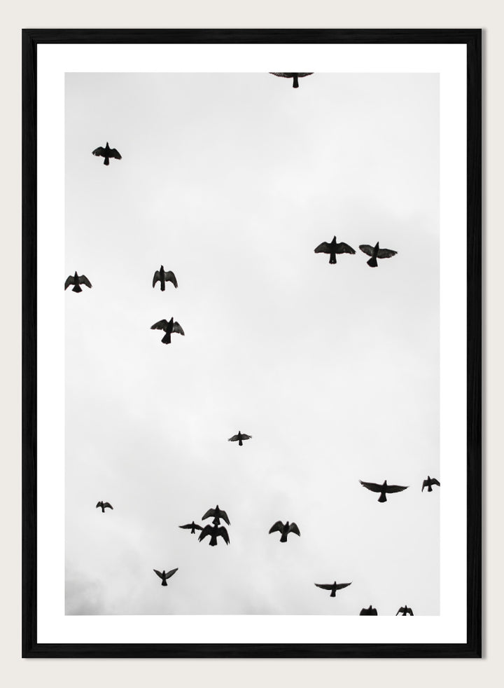A framed black and white art print depicting a flock of birds flying across a cloudy sky, presented in a minimalist look. Birds in Flight by Shot by Clint black-and-white bird photography print featuring a scattered flock, open sky, and graphic silhouettes in motion.