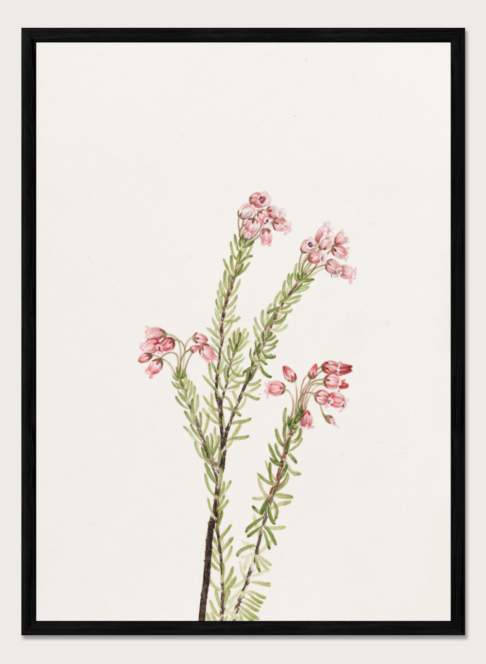 "Pink Mountain Heather" Art Print