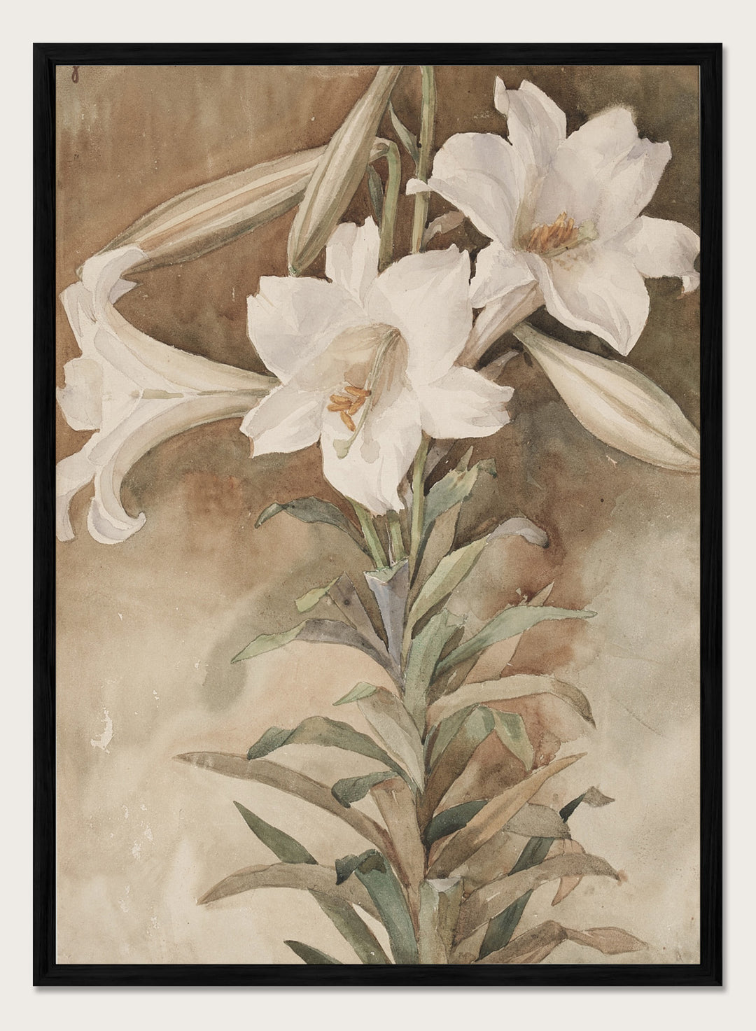"Still Life of Easter Lilies" Art Print