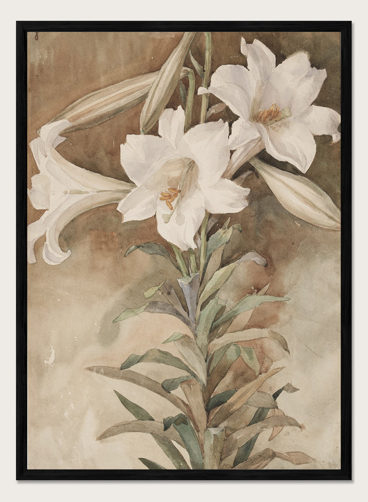 "Still Life of Easter Lilies" Art Print