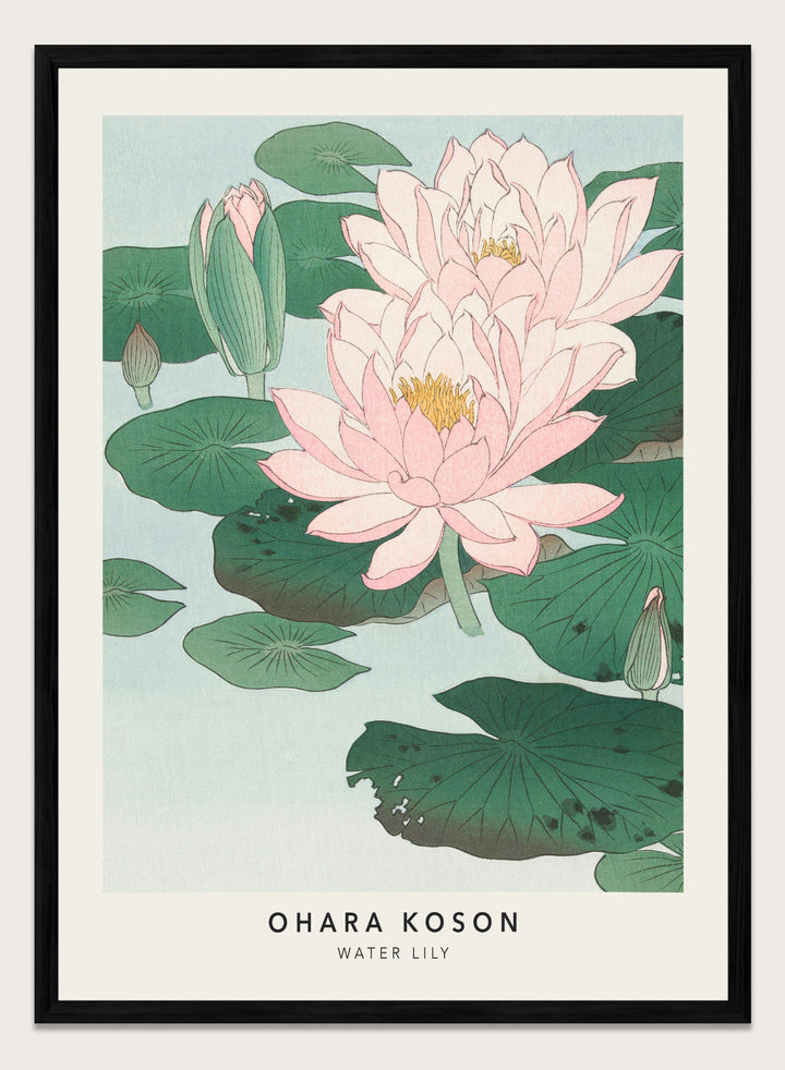 Ohara Koson "Water Lily" Art Print