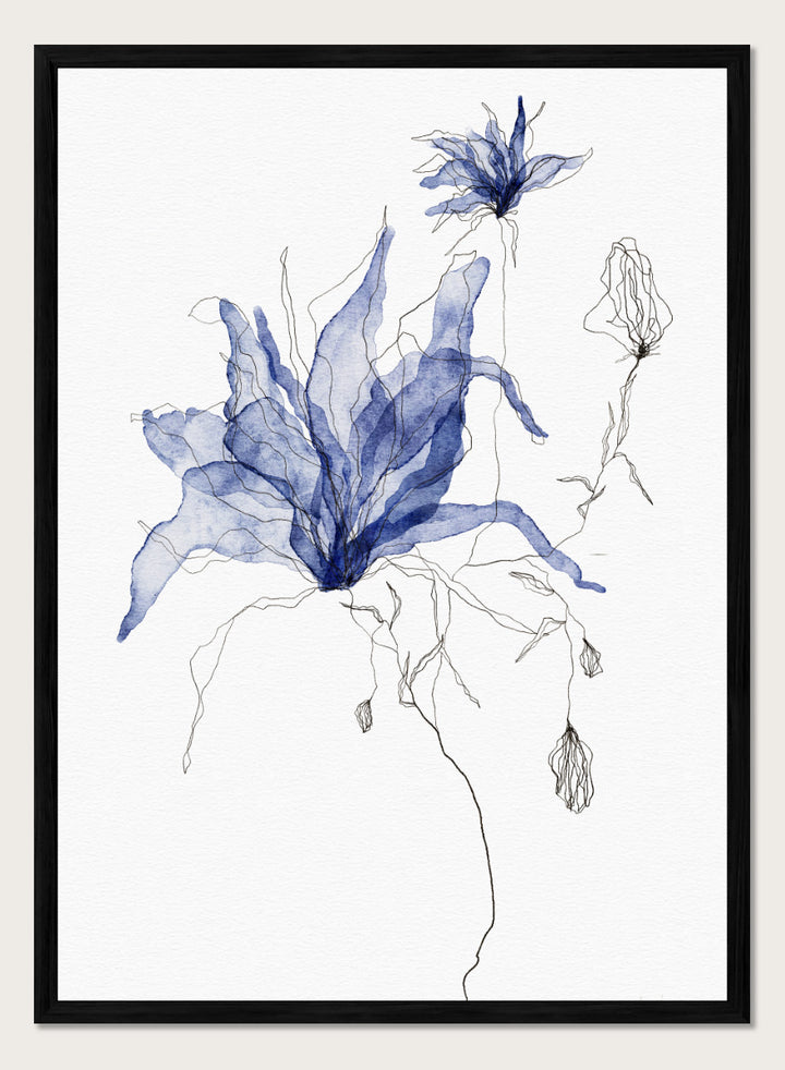 Abstract botanical art print featuring layered, semi-transparent blue flower silhouettes with fine black sketch lines on a white background. Shop Indigo Watercolor Florals by Ankie Kooi, a floral wall art print poster with blue watercolor flowers, botanical line art, buds, and white background.