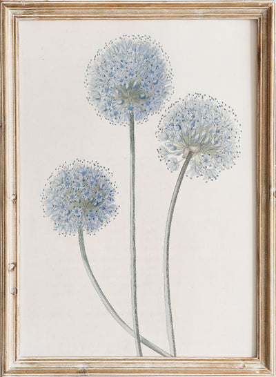 Sydenham Edwards - Blue Leek, Vintage Blue Leek Flowers Botanical Still Life Wall Art Print | Minimalist Wildflower Floral Plant Watercolor Painting Illustration