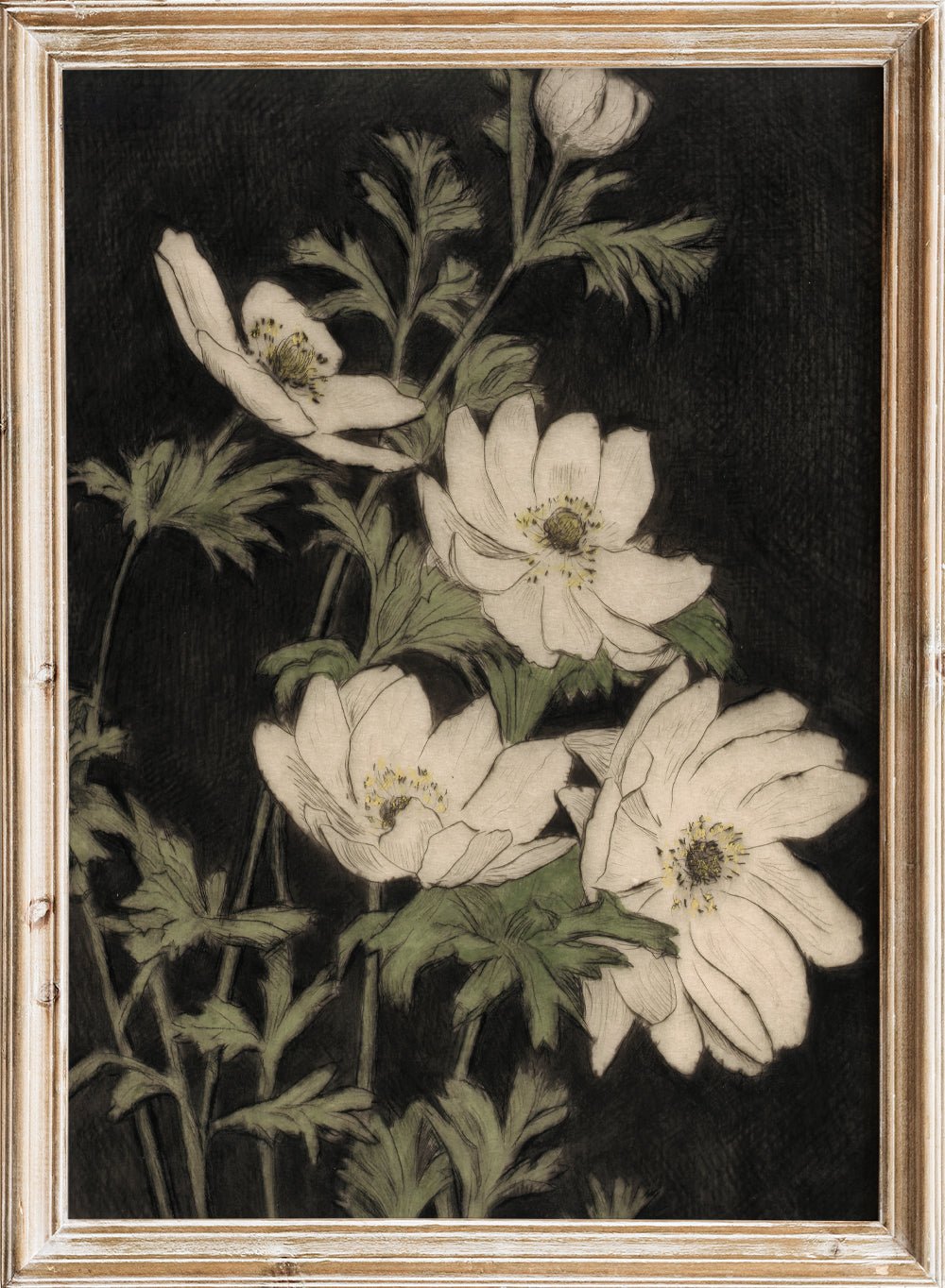 "Anemones" Art Print_Sugar & Canvas