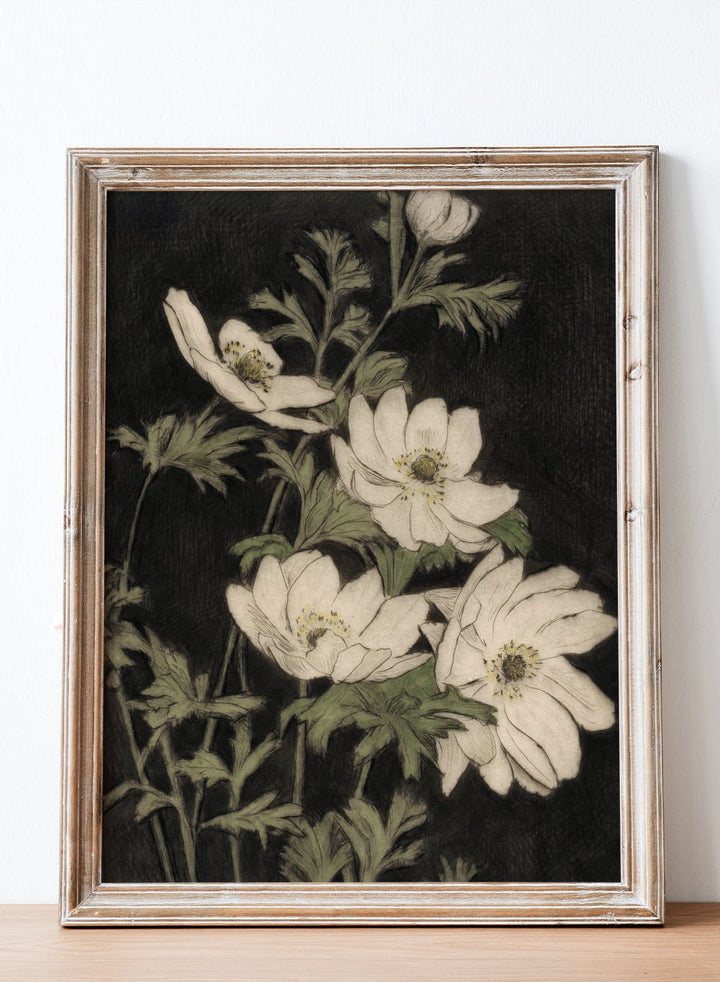 "Anemones" Art Print_Sugar & Canvas