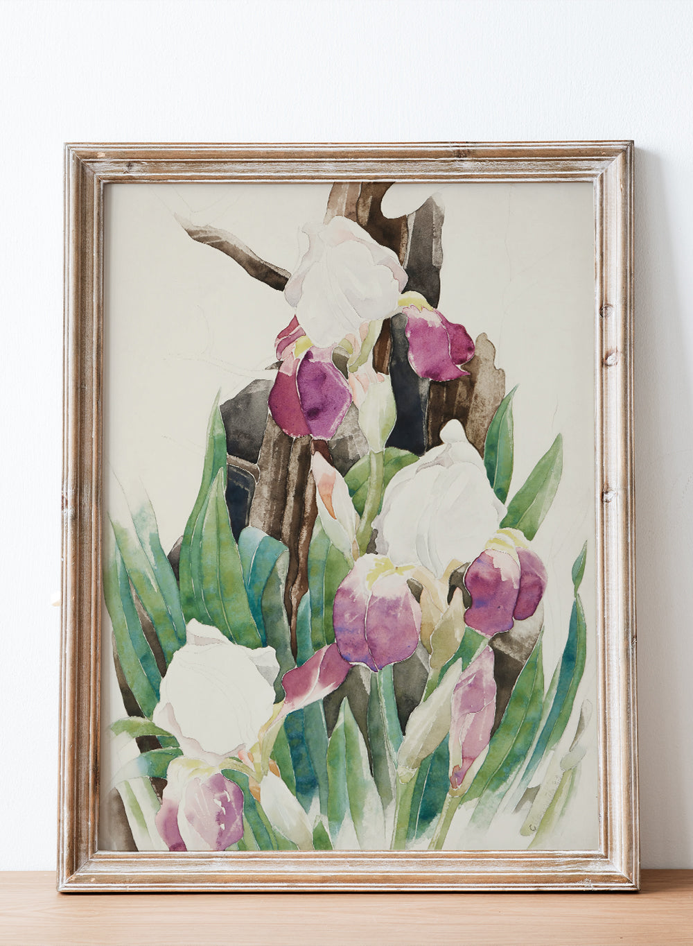 Vintage Colorful Wild Irises Flowers Still Life Wall Art Print, Floral Watercolor Painting Antique Moody Farmhouse Botanical Poster, Charles Demuth - Iris