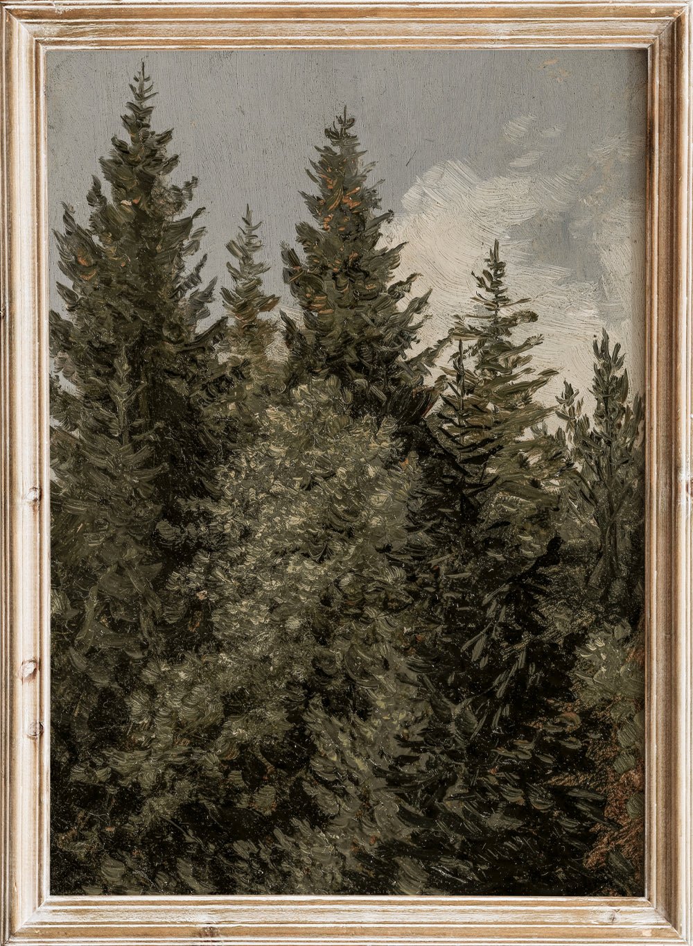 "Firs" Art Print_Sugar & Canvas