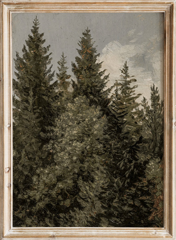 "Firs" Art Print_Sugar & Canvas