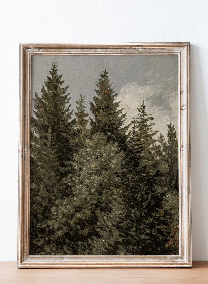 "Firs" Art Print_Sugar & Canvas