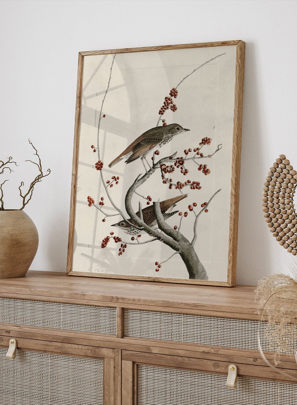 "Hermit Thrush" Art Print_Sugar & Canvas