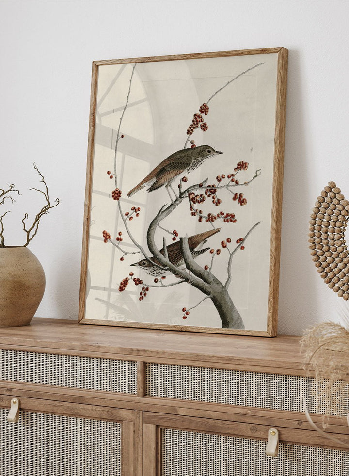 "Hermit Thrush" Art Print_Sugar & Canvas