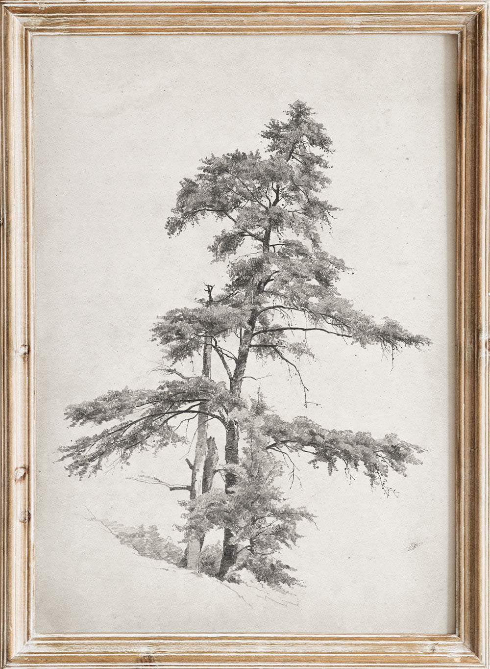 "Trees, West Virginia" Sketch Art Print_Sugar & Canvas