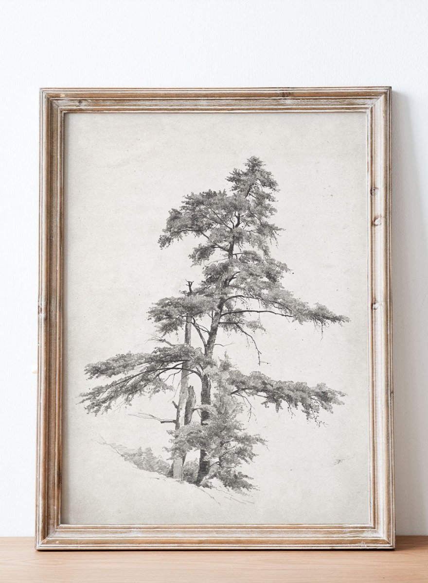 Vintage European Rustic Neutral Trees Pencil Sketch Drawing Wall