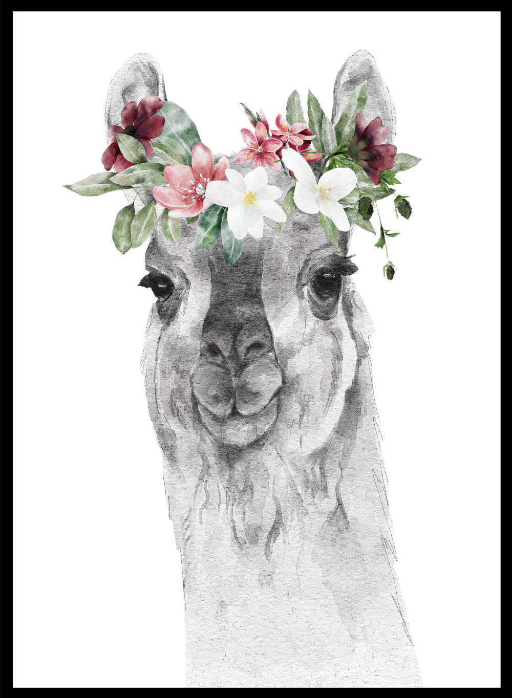 Llama with Flowers Safari Animal Art Print_Sugar & Canvas