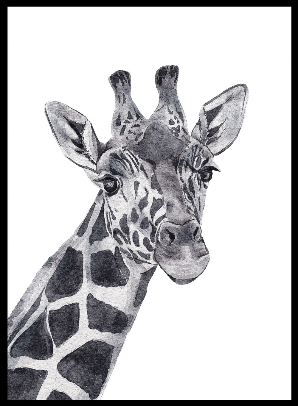 Giraffe Safari Animal Art Print_Sugar & Canvas