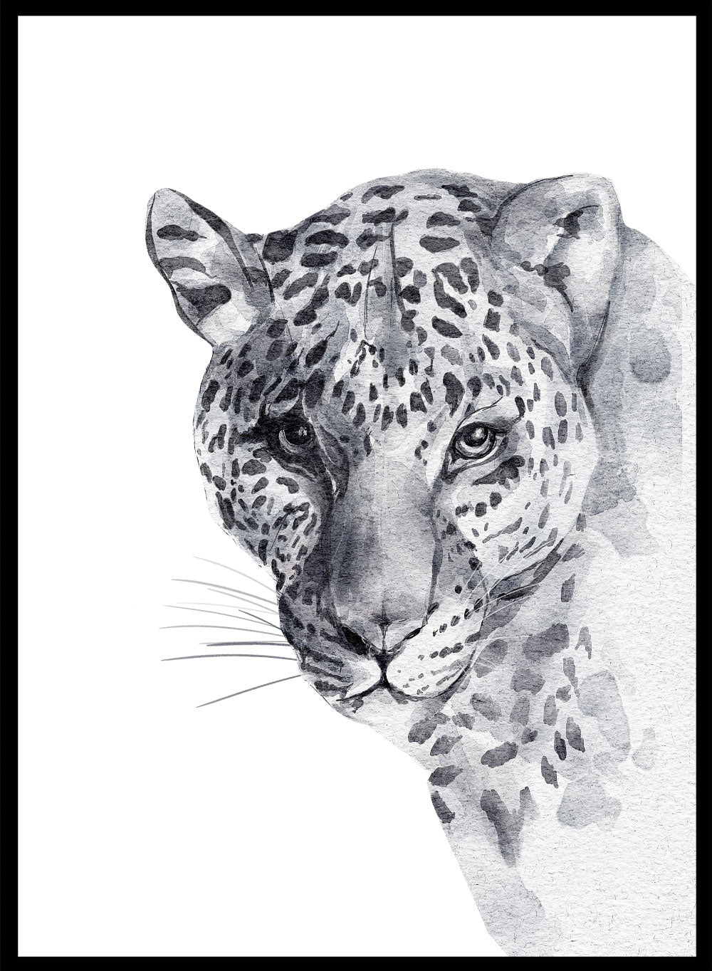 Leopard Safari Animal Art Print_Sugar & Canvas