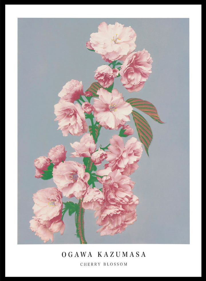 Flowers Art Works Couleur 画集　中古 Flowers Art Works Couleur 画集 中古