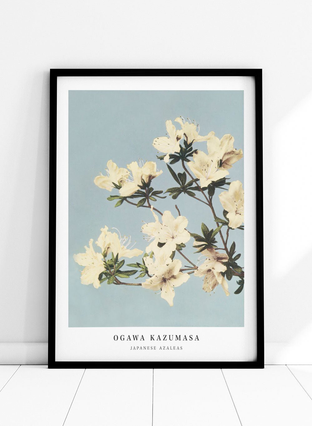 Ogawa Kazumasa White Azaleas Flowers Japanese Art Print OK04_Sugar & Canvas
