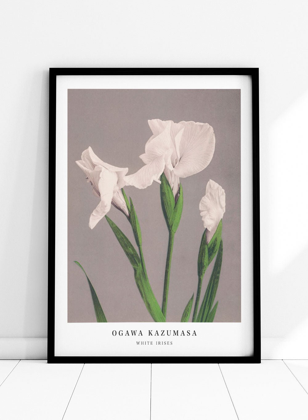 Ogawa Kazumasa White Irises Flowers Japanese Art Print OK03_Sugar & Canvas