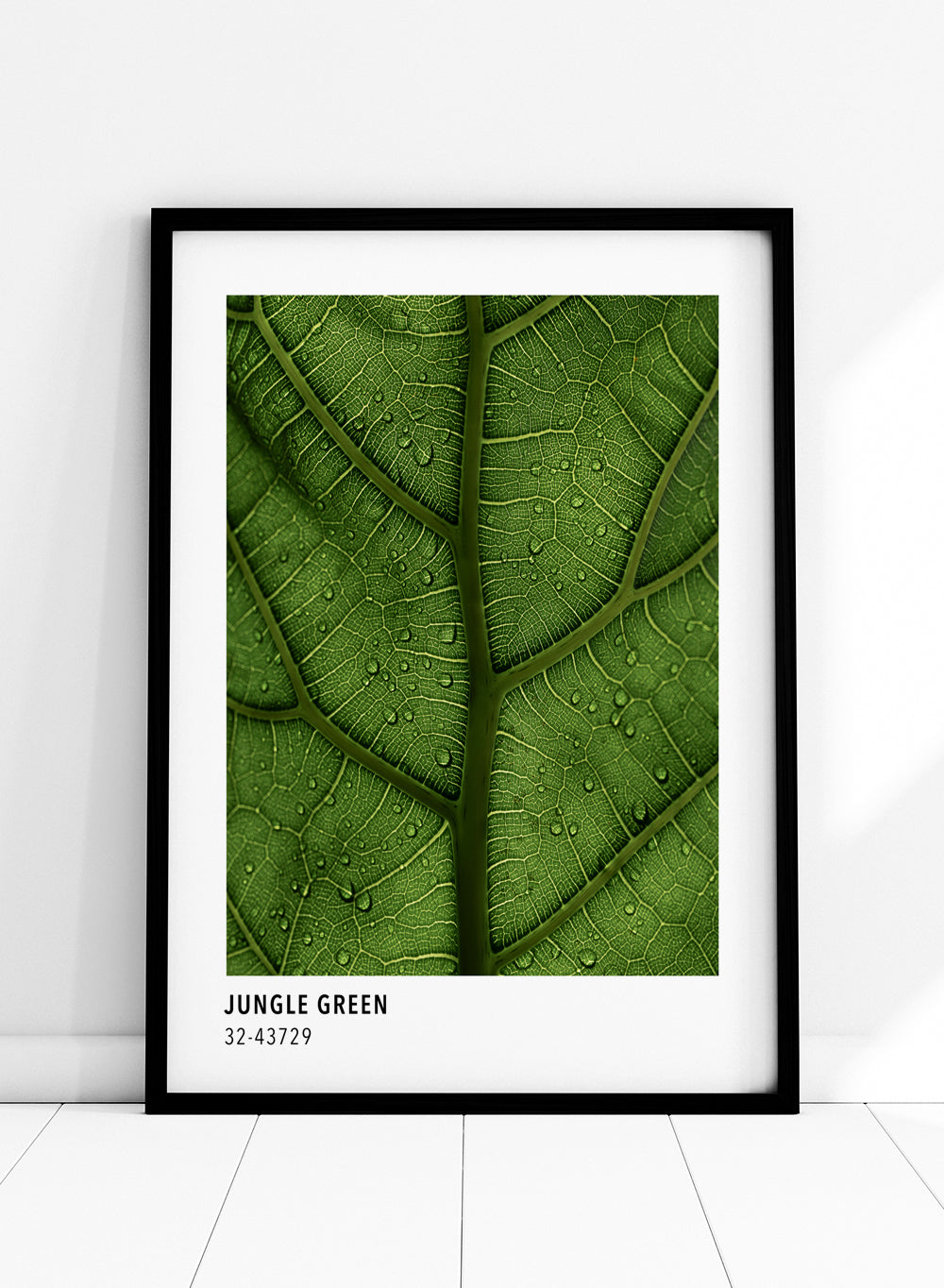 Sugar & Canvas Jungle Green Color Card Art Print